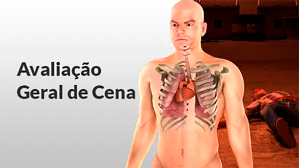 Treinamento Avaliação Geral da Cena
